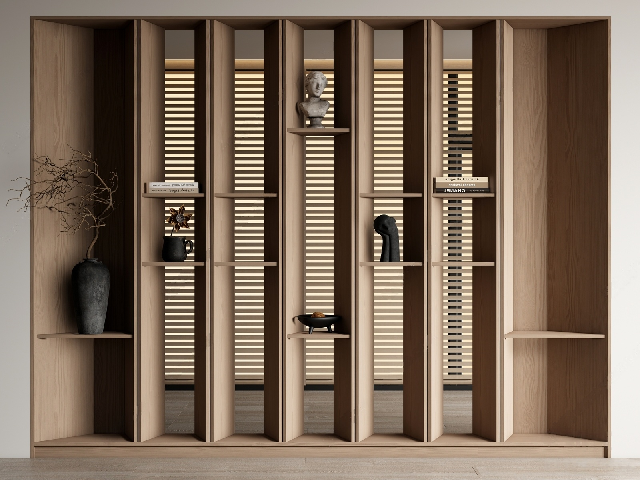Modern Bookcase