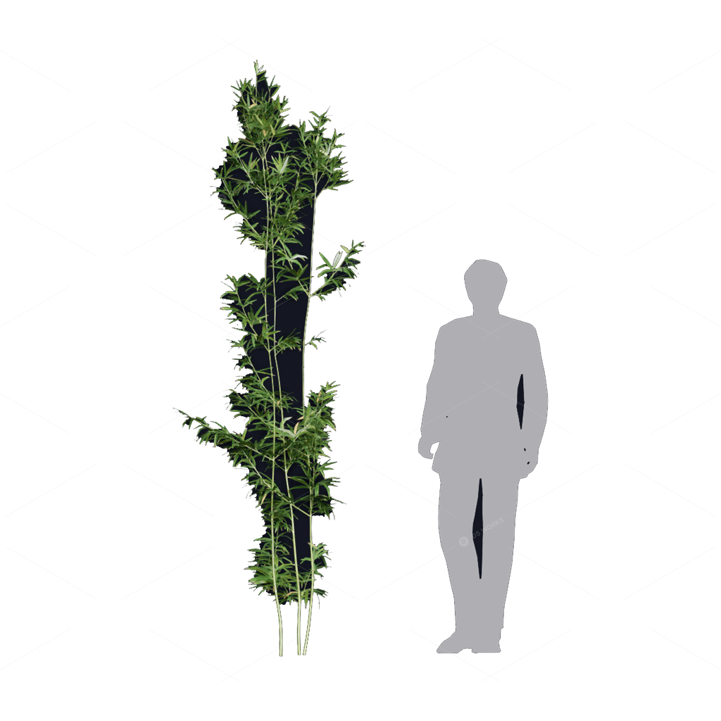 Other Botanicals 3D Models