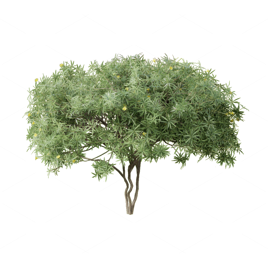 Shrubs 3D Models