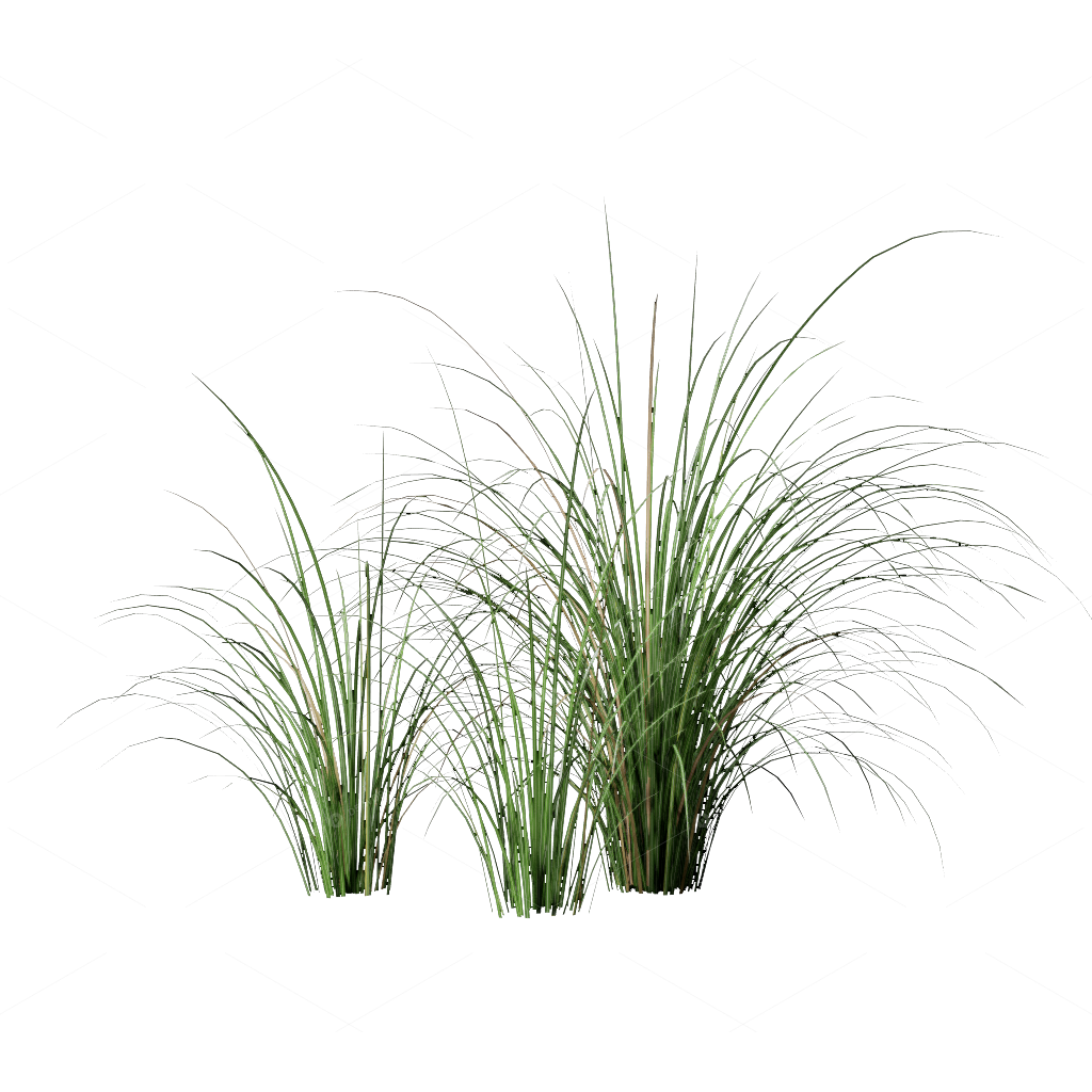 Flowers 3D Models