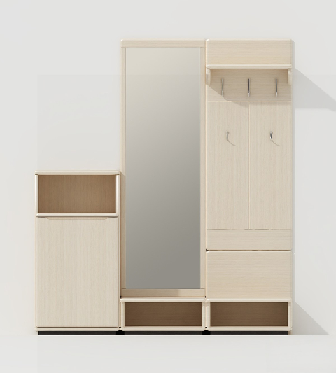 Modern Shoe Cabinet