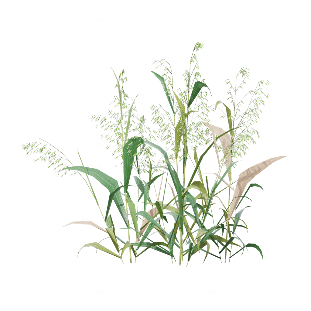 Crops 3D Models