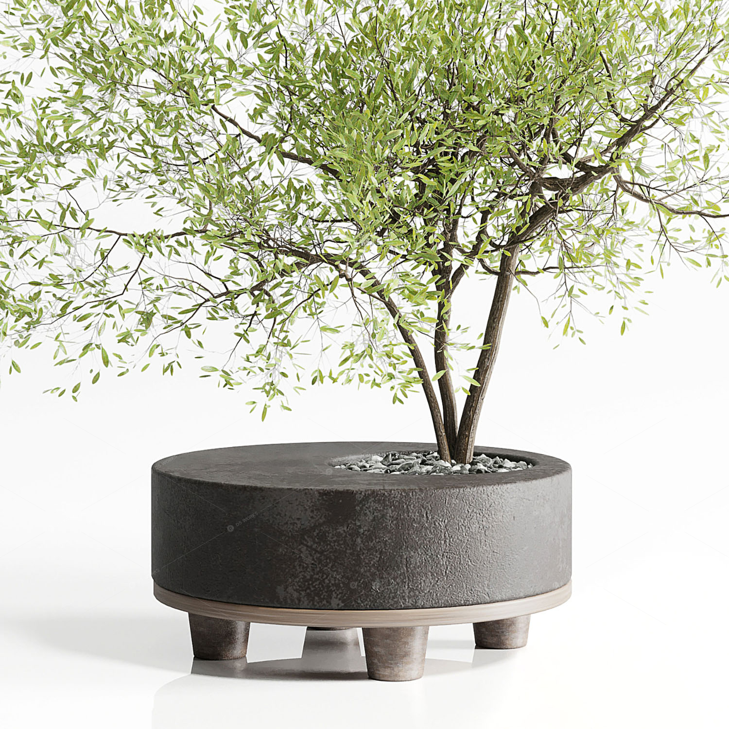 Greenery 3D Models 2