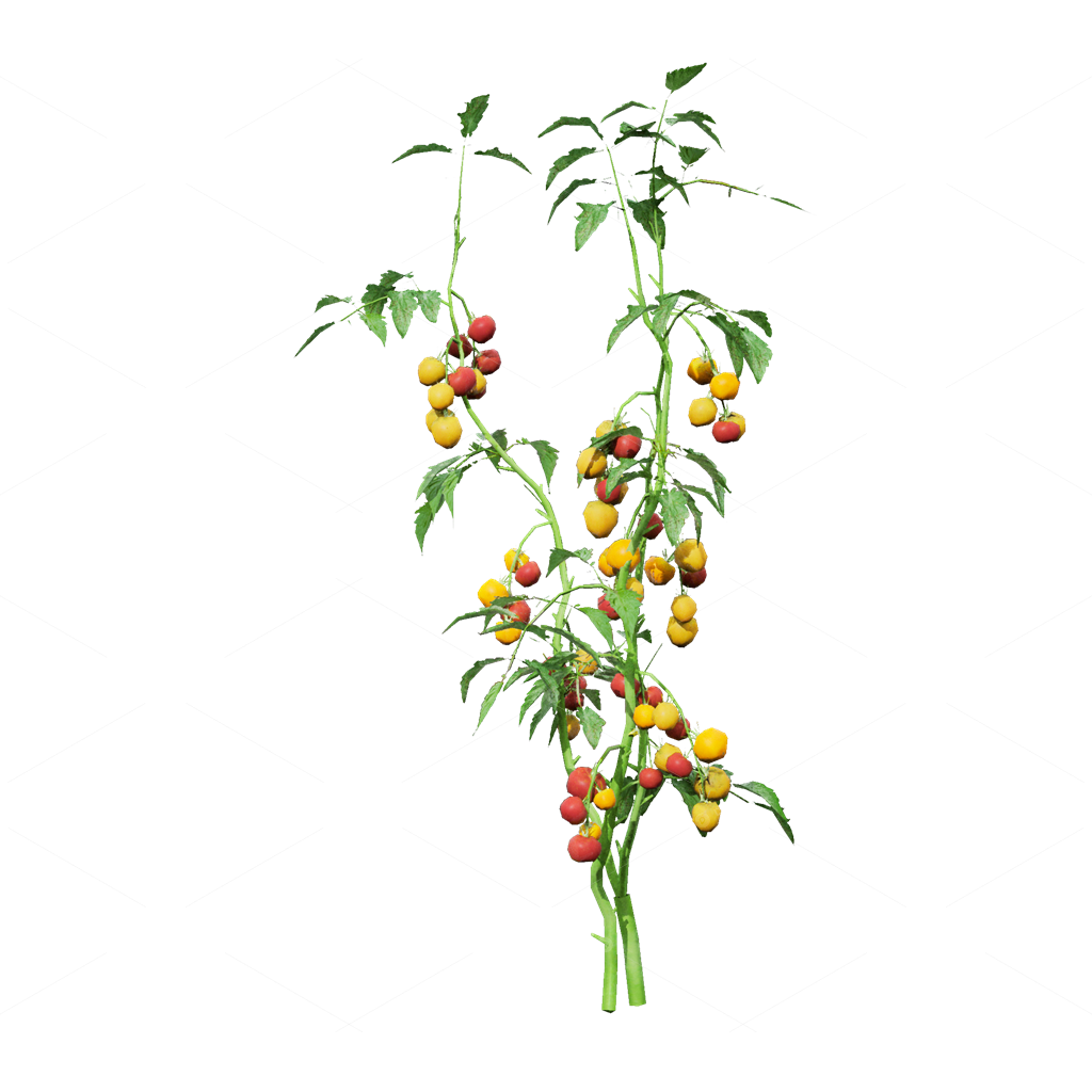 Crops 3D Models