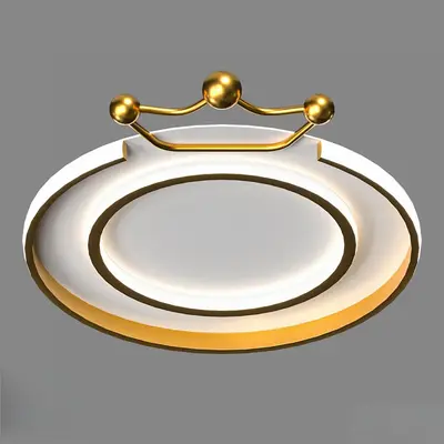 Crown Design Ceiling Light 3d model