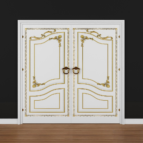 Modern Double Door