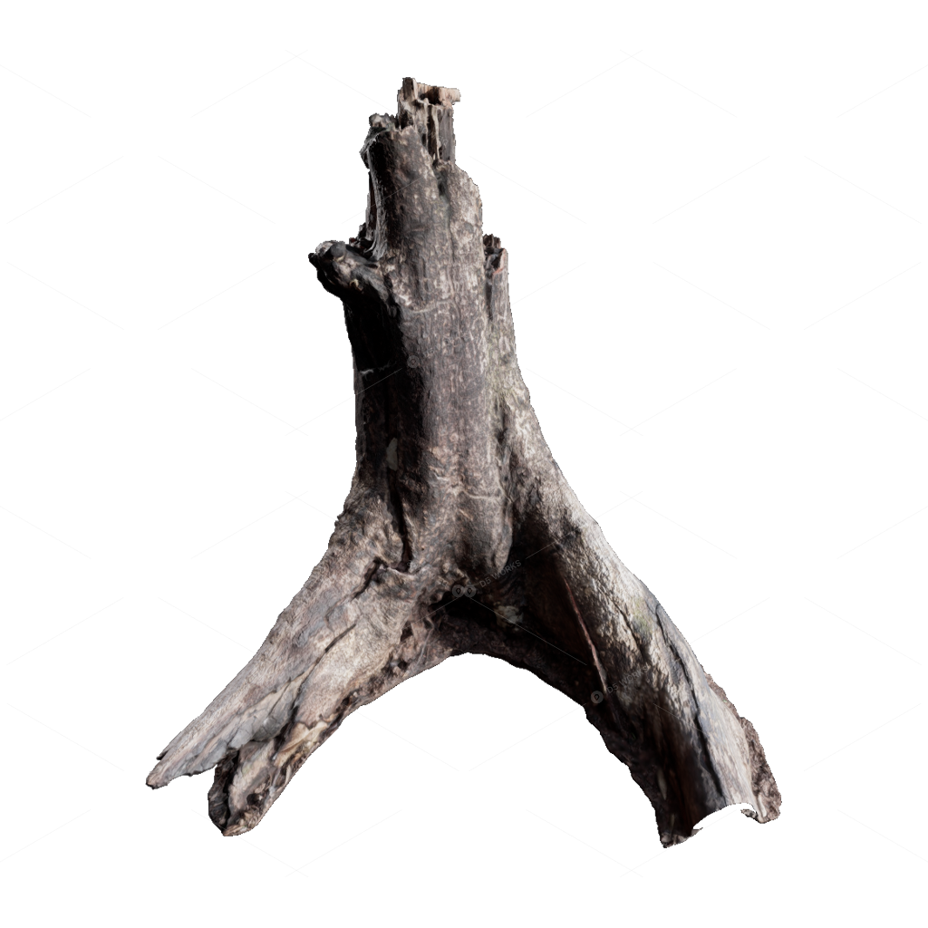 Other Botanicals 3D Models