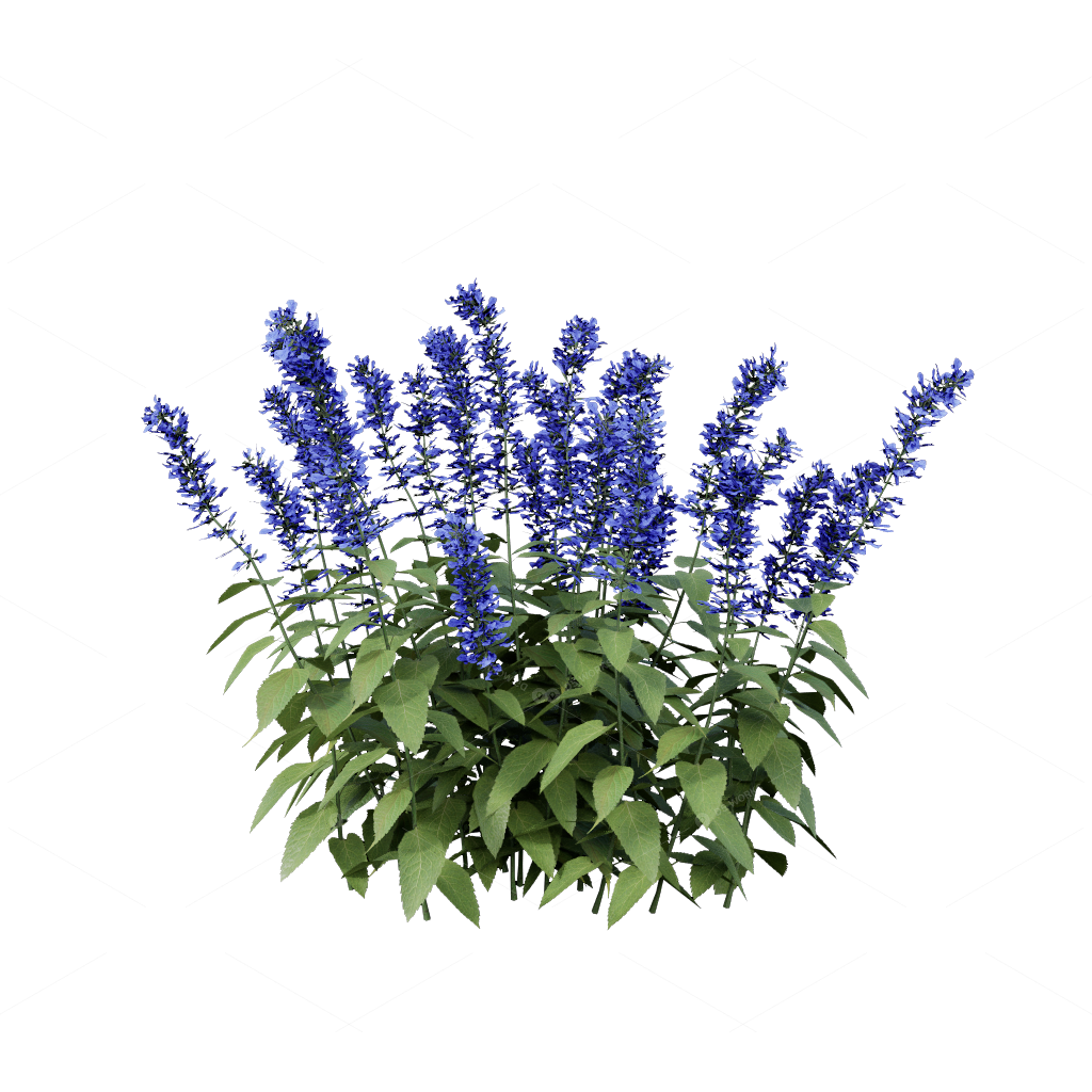Flowers 3D Models
