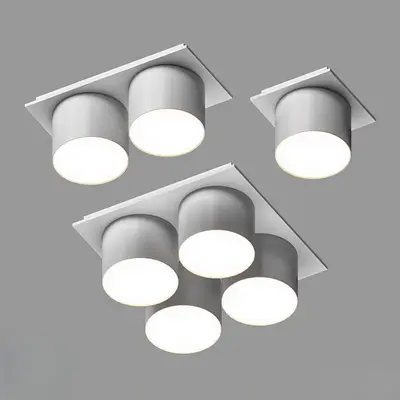 Modern Downlight & Spotlight