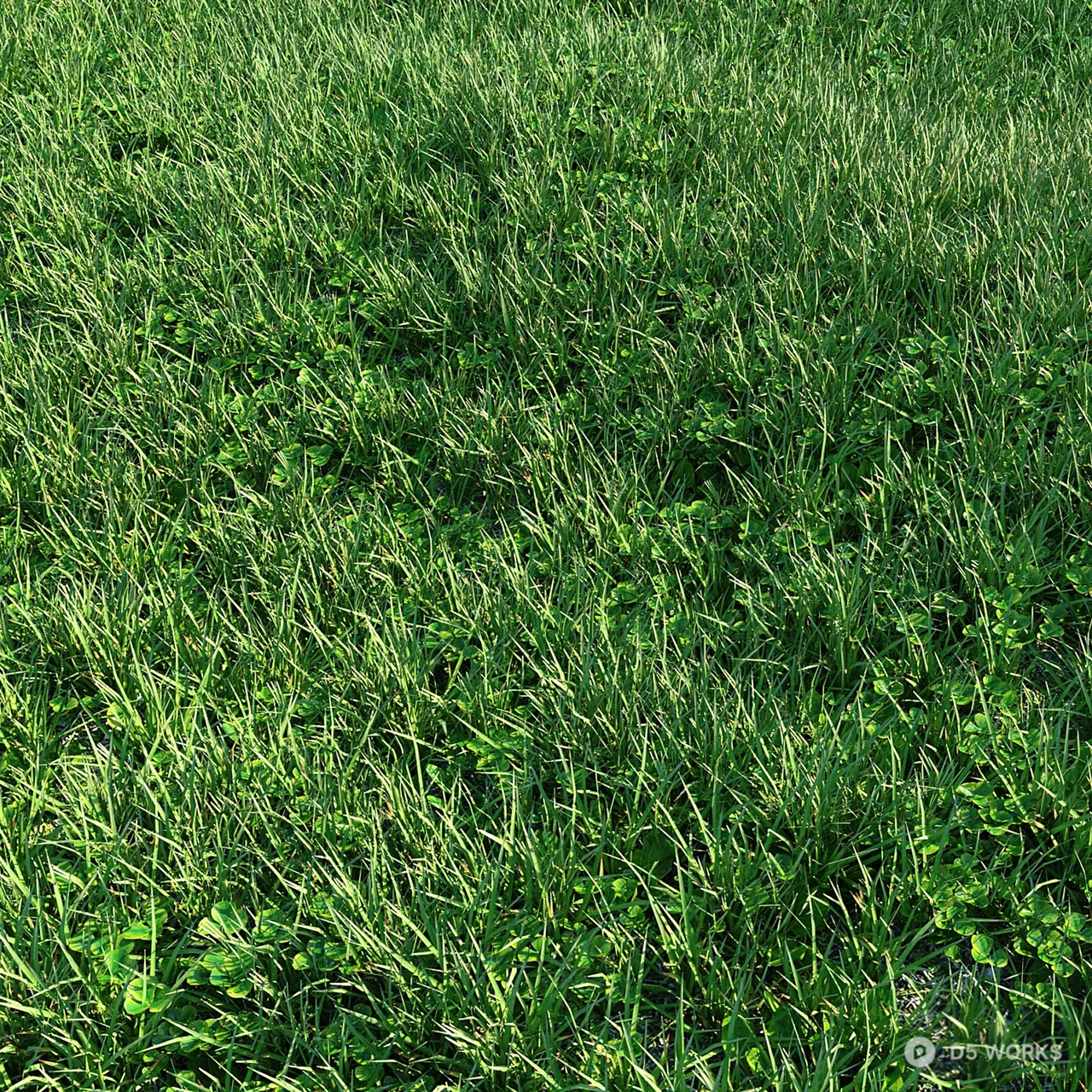 Lush Green Lawn Groundcover 3d model thumbnail 2