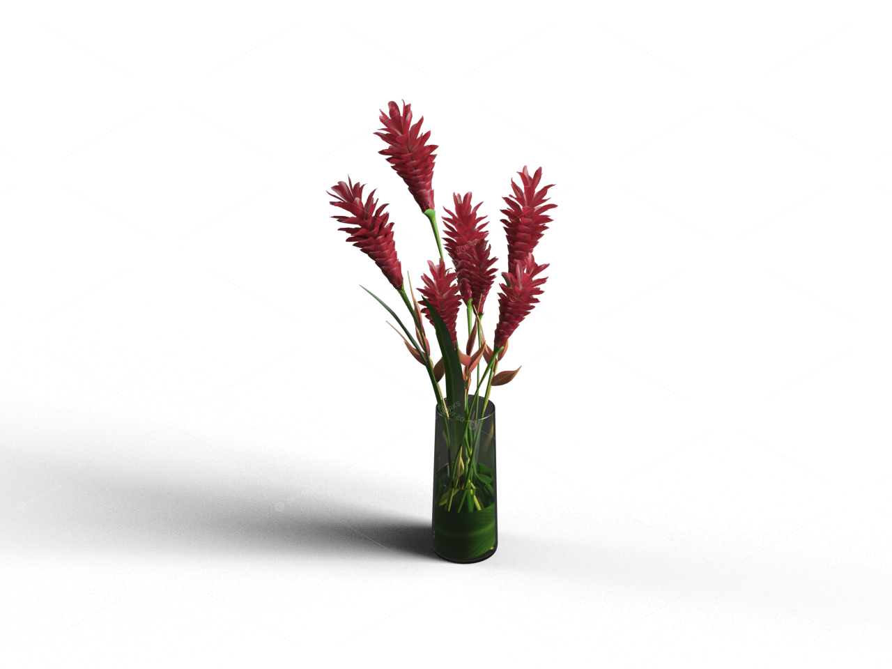 Vases & Floral Arrangements 3D Models