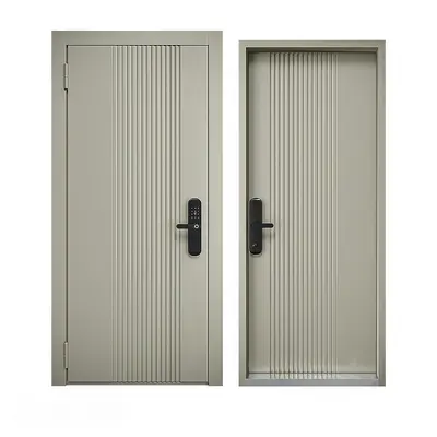 Modern Single Door