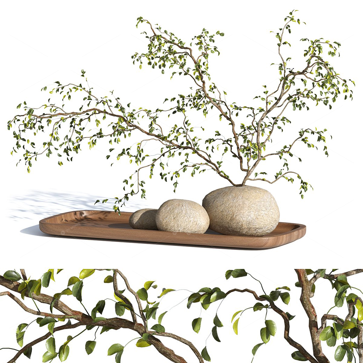 Vases & Floral Arrangements 3D Models
