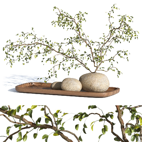 Modern Floral Vase Design