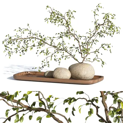 Modern Floral Arrangement