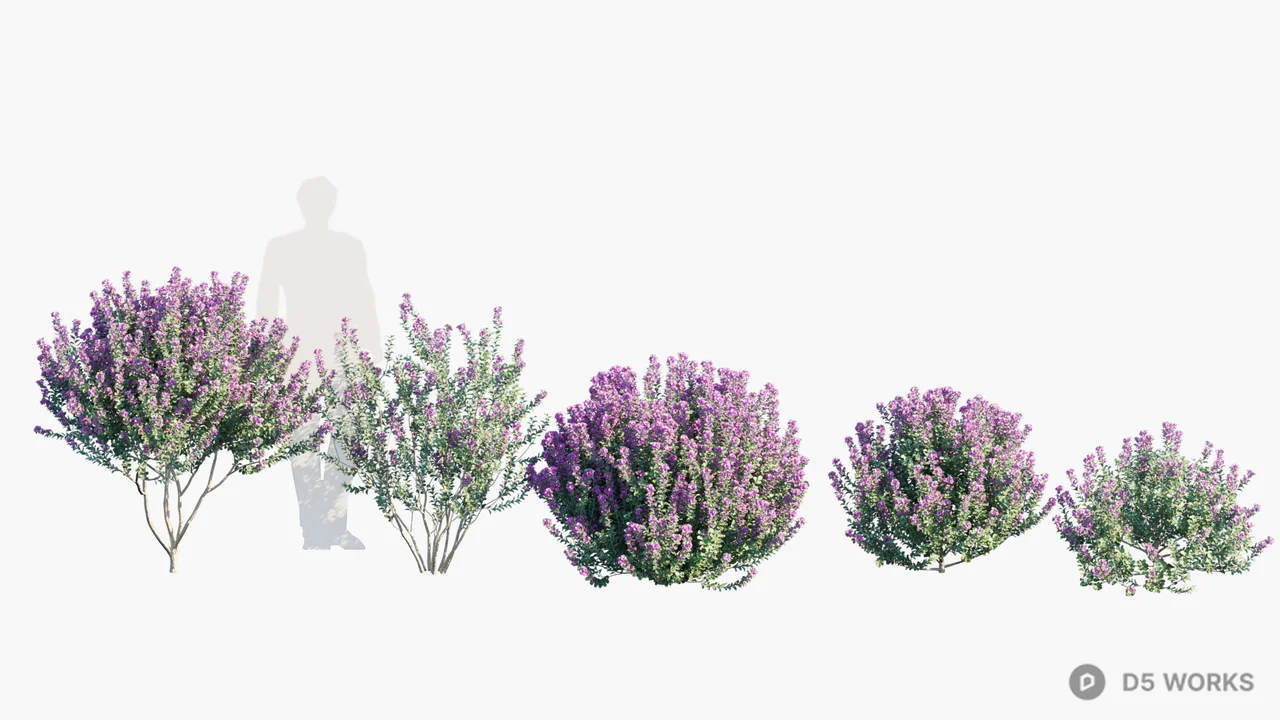 Purple Flowering Shrubs Set 3d model - Image 1