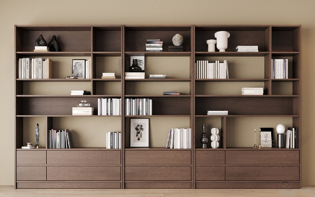 Mid-Century Modern Bookcase