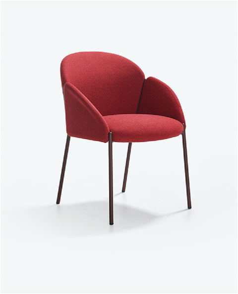 Modern Dining Chair