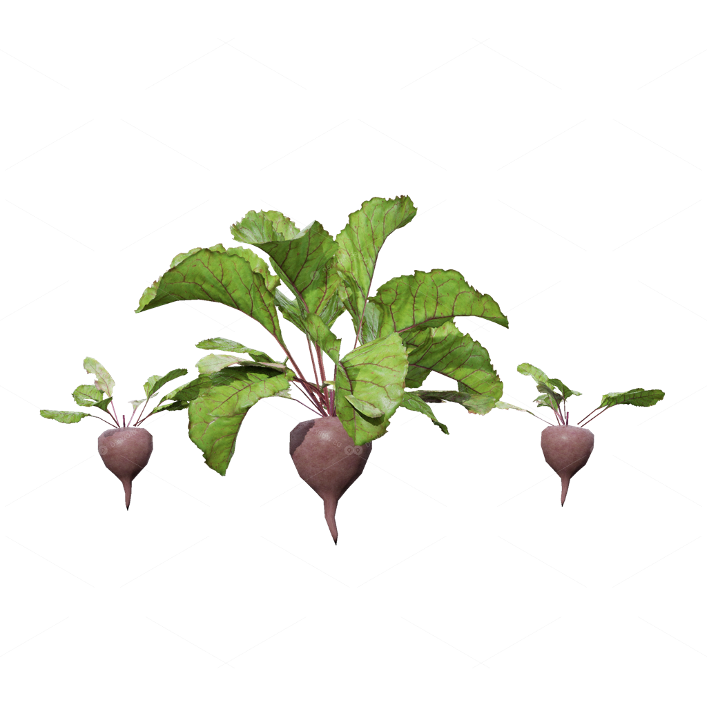 Crops 3D Models