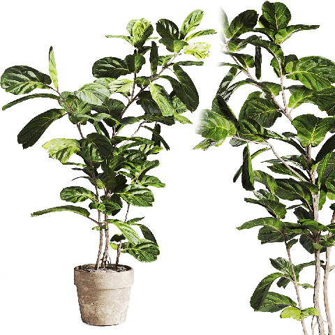 Mid-Century Modern Potted Plant