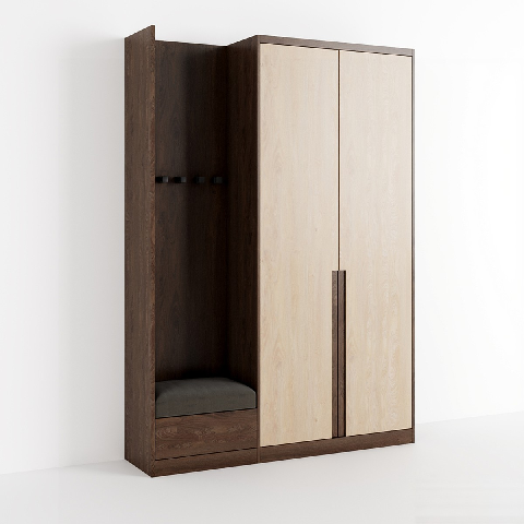 Modern Shoe Cabinet