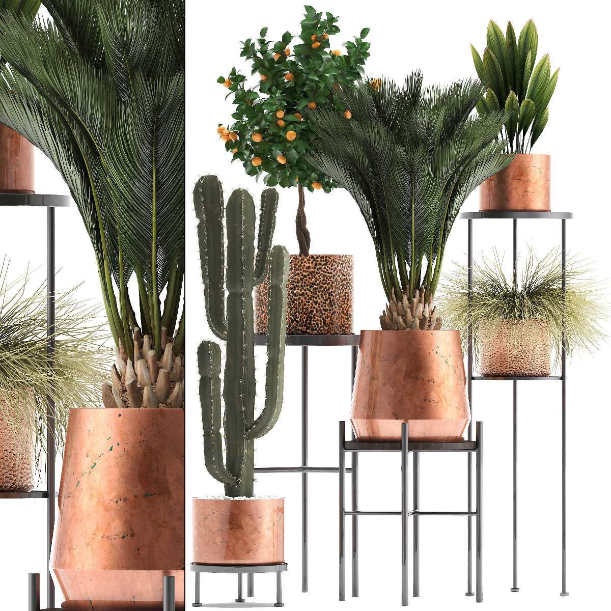 Modern Potted Plant