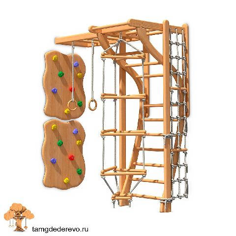 Modern Home Gym