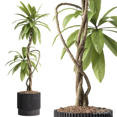 Modern Mid-Century Modern Potted Plant