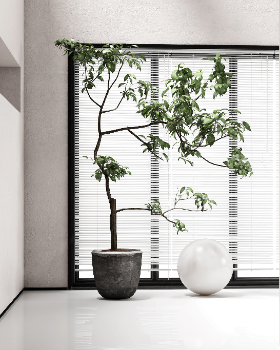 Modern Potted Plant