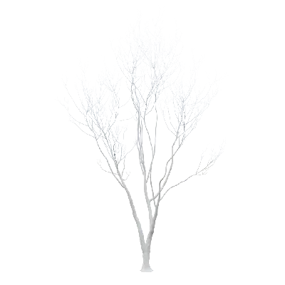 Lowpoly Plant 23 3d model