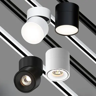Modern Downlight & Spotlight