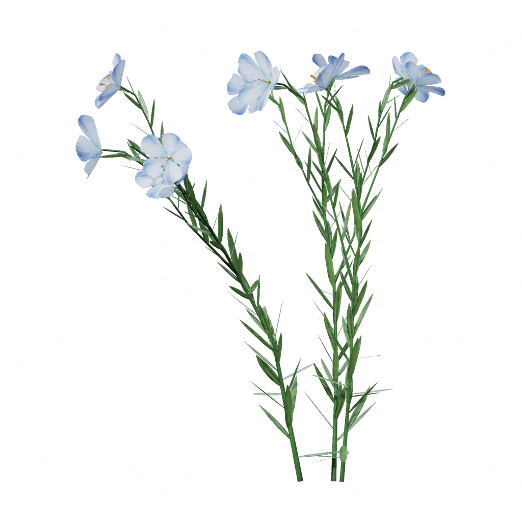 Crops 3D Models