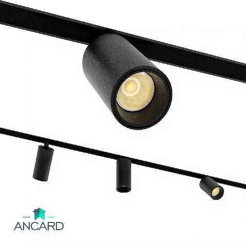 Modern Downlight & Spotlight