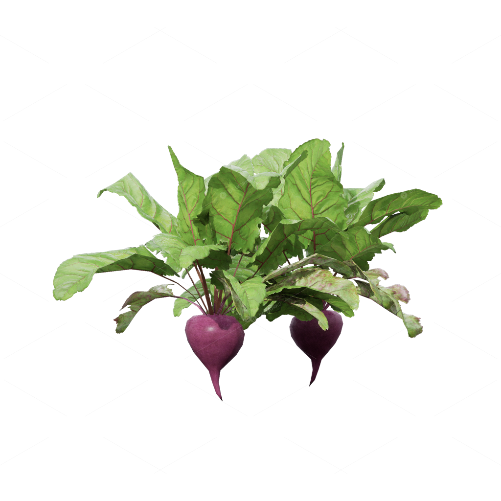Crops 3D Models