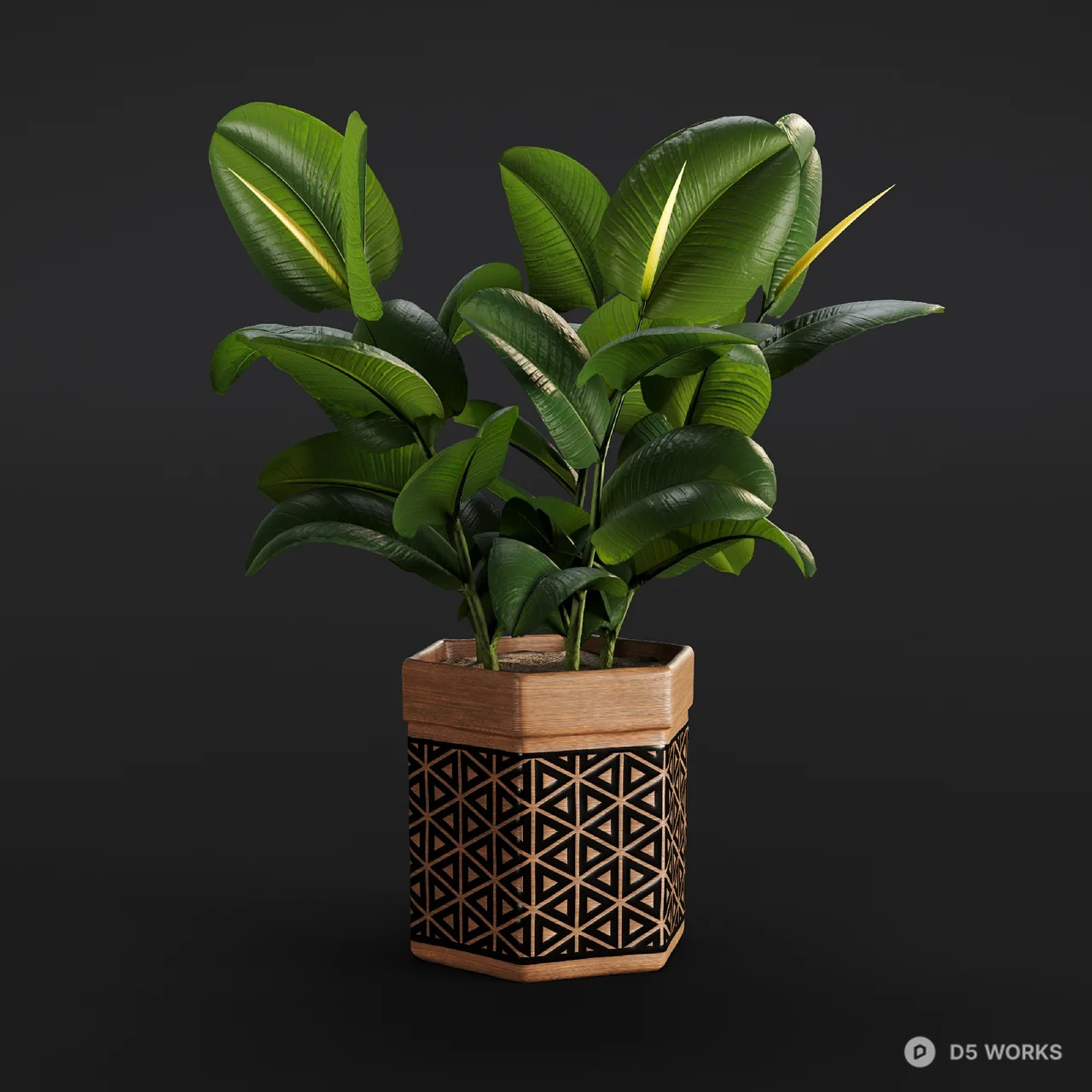 Geometric Patterned Planter With Rubber Plant 3d model - Image 1