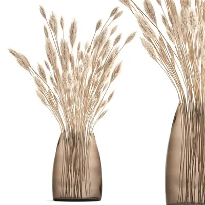 Minimalist Glass Vase With Dried Grass 3d model