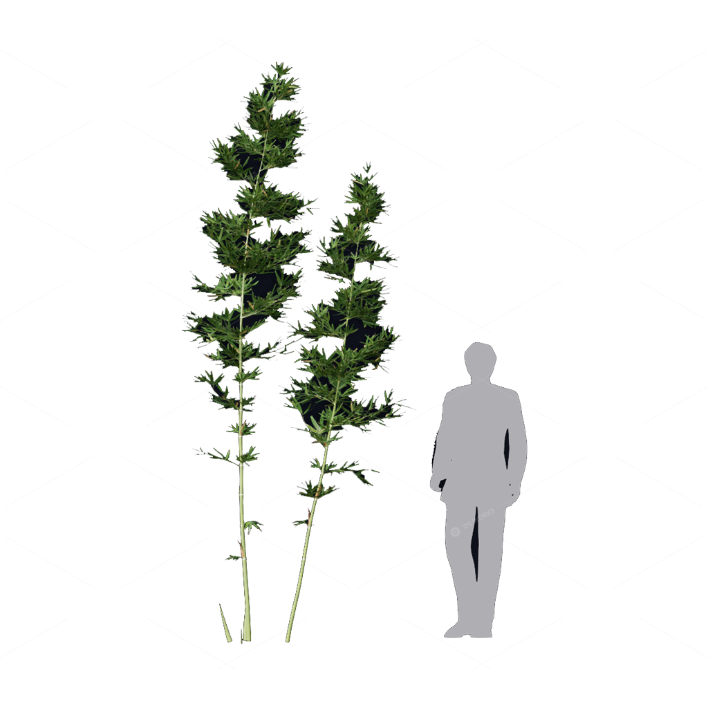 Other Botanicals 3D Models