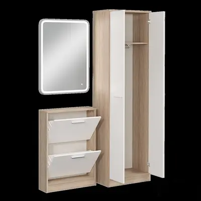 Scandinavian Shoe Cabinet