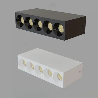 Modern Louvered Light