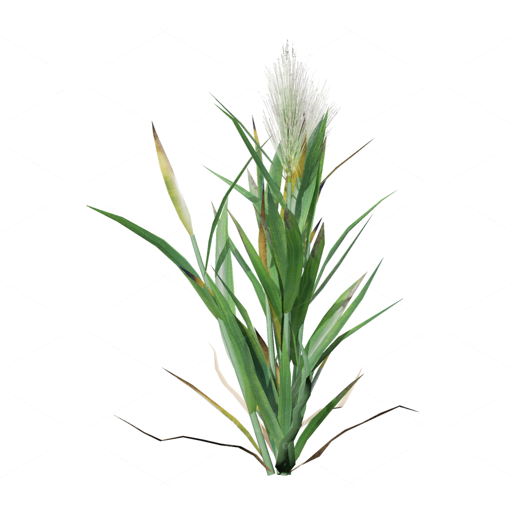 Crops 3D Models