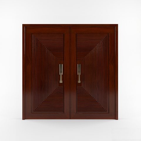 Modern Double Door