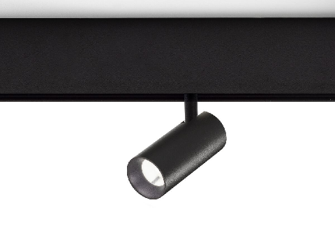 Modern Downlight & Spotlight