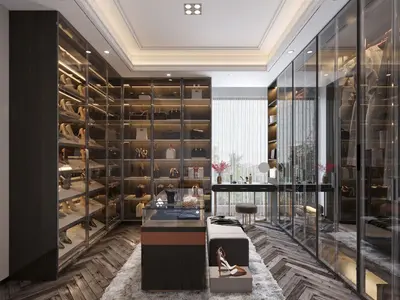 Modern Walk-in Closet