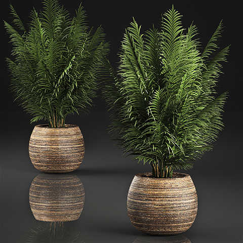 Modern Potted Plant