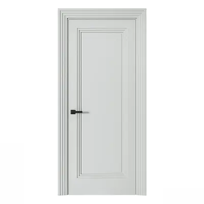 Transitional Single Door