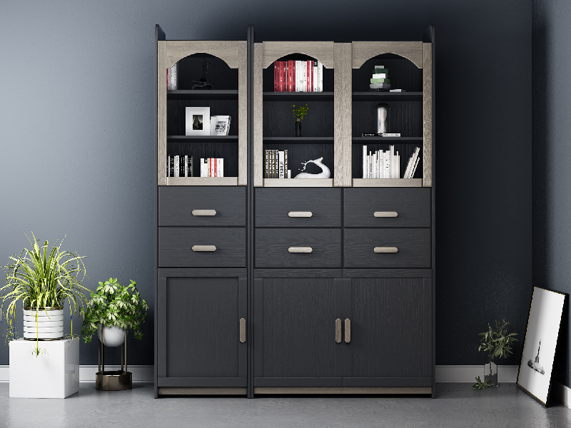Modern Bookcase