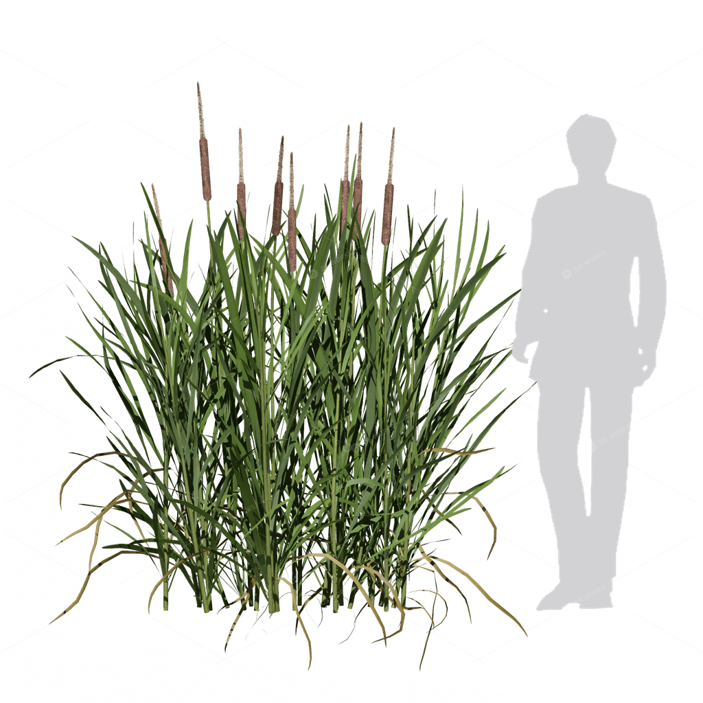 Flowers 3D Models