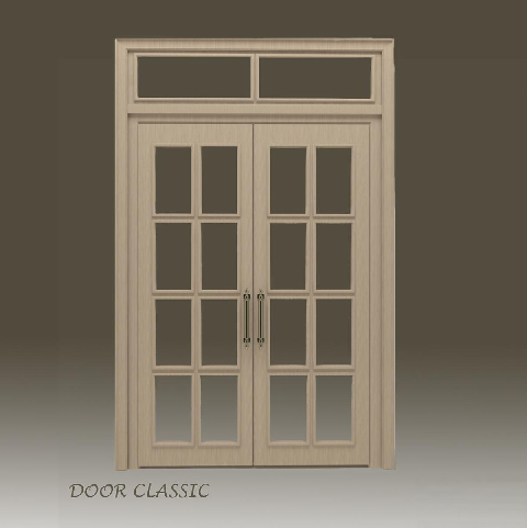 Modern Double Door