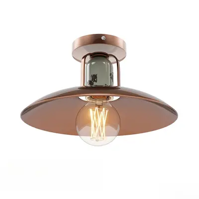 Copper Industrial Style Ceiling Light 3d model