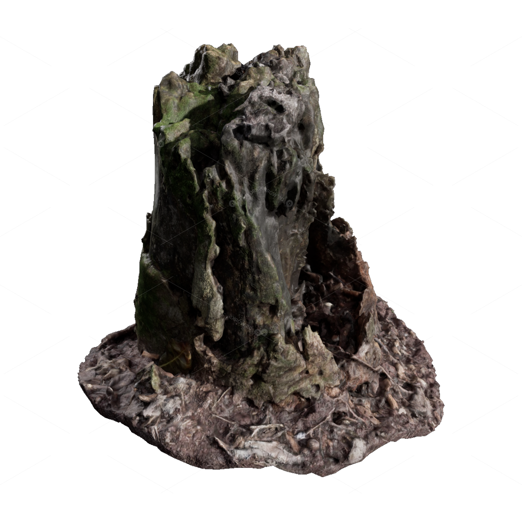 Other Botanicals 3D Models